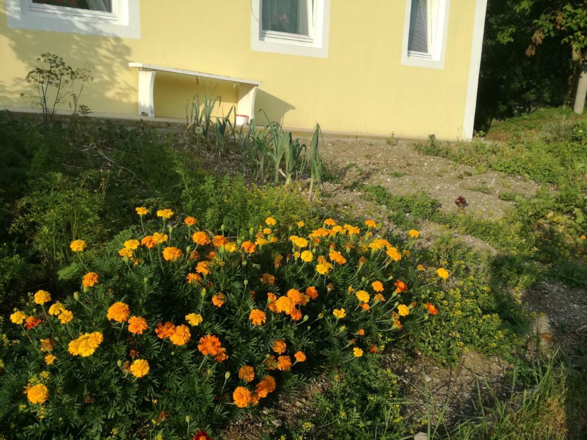 Apartment House Andrej Bohinj Exterior photo